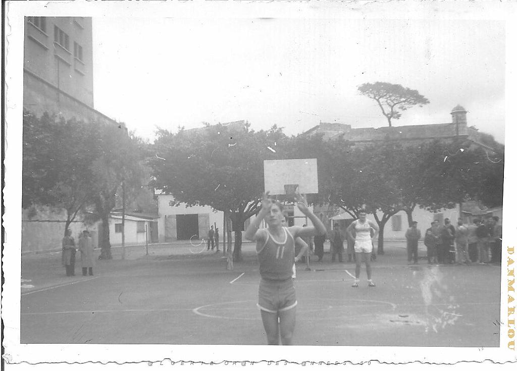 PMO BASKET PMO  vivi.jpg